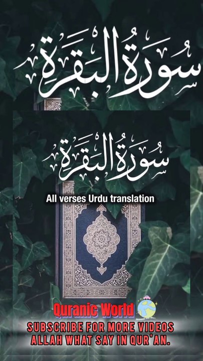 SURAH Al Baqrah | سورة البقره | Verses (Ayat) 162-166 Urdu translation & Hindi Subtitle. QURAN TARJUMA  #surahalbaqrahayat162-166 #surahalbaqrahenglishsubtitle #surahalbaqrahurdutarjuma #surahbaqrahhindisubtitle #quranicworld  #quranverses  #viralvideo