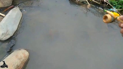 Micro Fishing for Rasbora in a Rocky Small River | Ultralight Freshwater Adventure