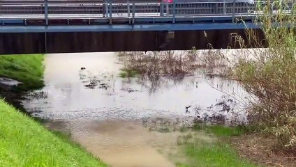 Maltempo Prato, il Bisenzio a Ponte Datini