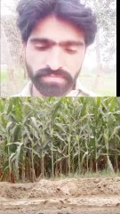 Reaction by Mushtaq All Reaction Videos and Funnys
