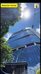 Wings Over Terminal Chinese drama - MiniCine