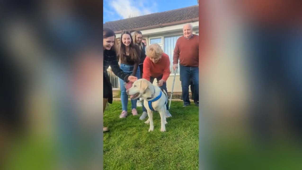 Emotional moment family reunited with pet dog eights year after she was stolen