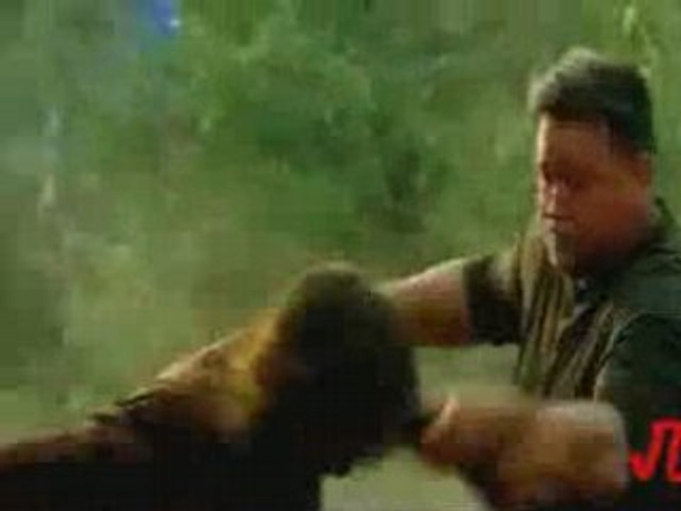 Lost - The Survivors of Oceanic Flight 815