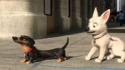 Volt, star malgré lui