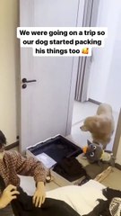 You have a good time discovering funny news