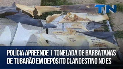 Polícia apreende 1 tonelada de barbatanas de tubarão em depósito clandestino no ES