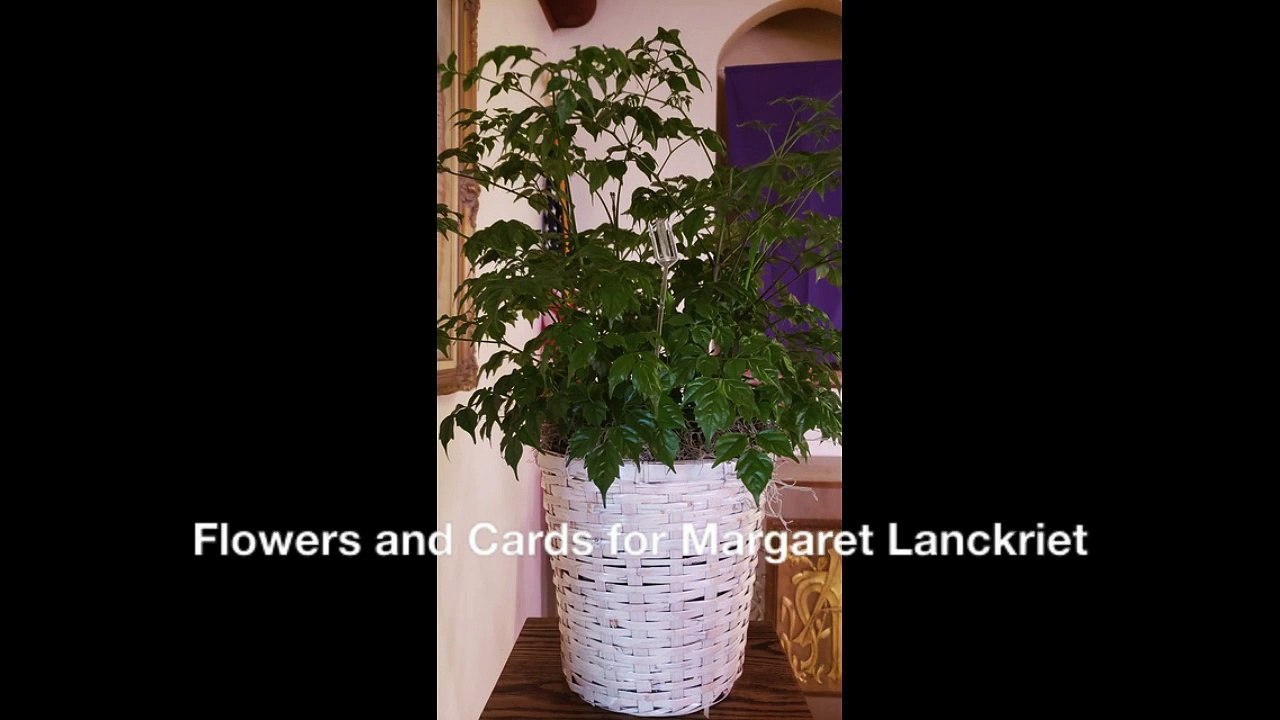 Flowers and Cards for Margaret Lanckriet
