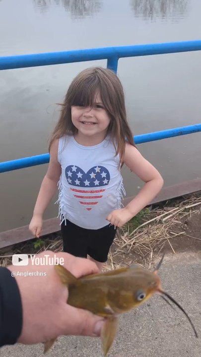 Released A Catfish