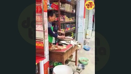 Hilarious Moments | Funny Moments Caught on Camera | Family Entertainment