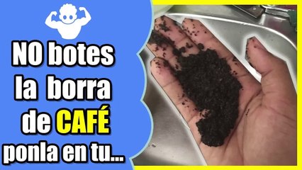No volverás a botar la borra de café después de saber esto
