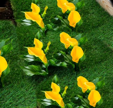 Des jardins florissants : Des conseils simples pour cultiver votre espace vert !