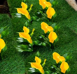 Des jardins florissants : Des conseils simples pour cultiver votre espace vert !