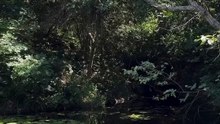 REEL 2