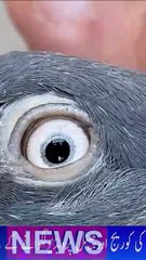 Subscribe Our YouTube Channel For Complete Videos Thank You