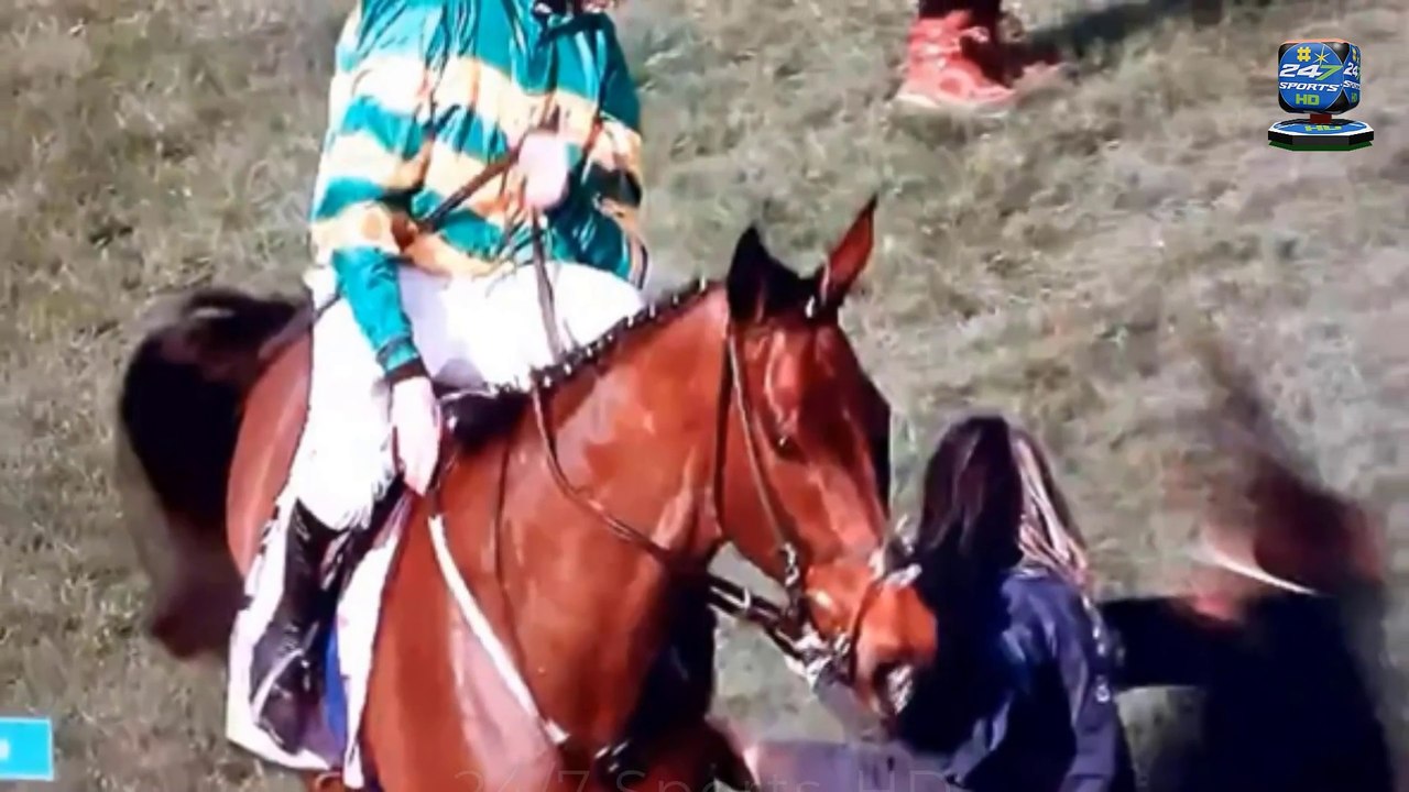 Shocking moment Cheltenham Gold Cup winner sends vet FLYING with brutal kick live on TV after amazing triumph