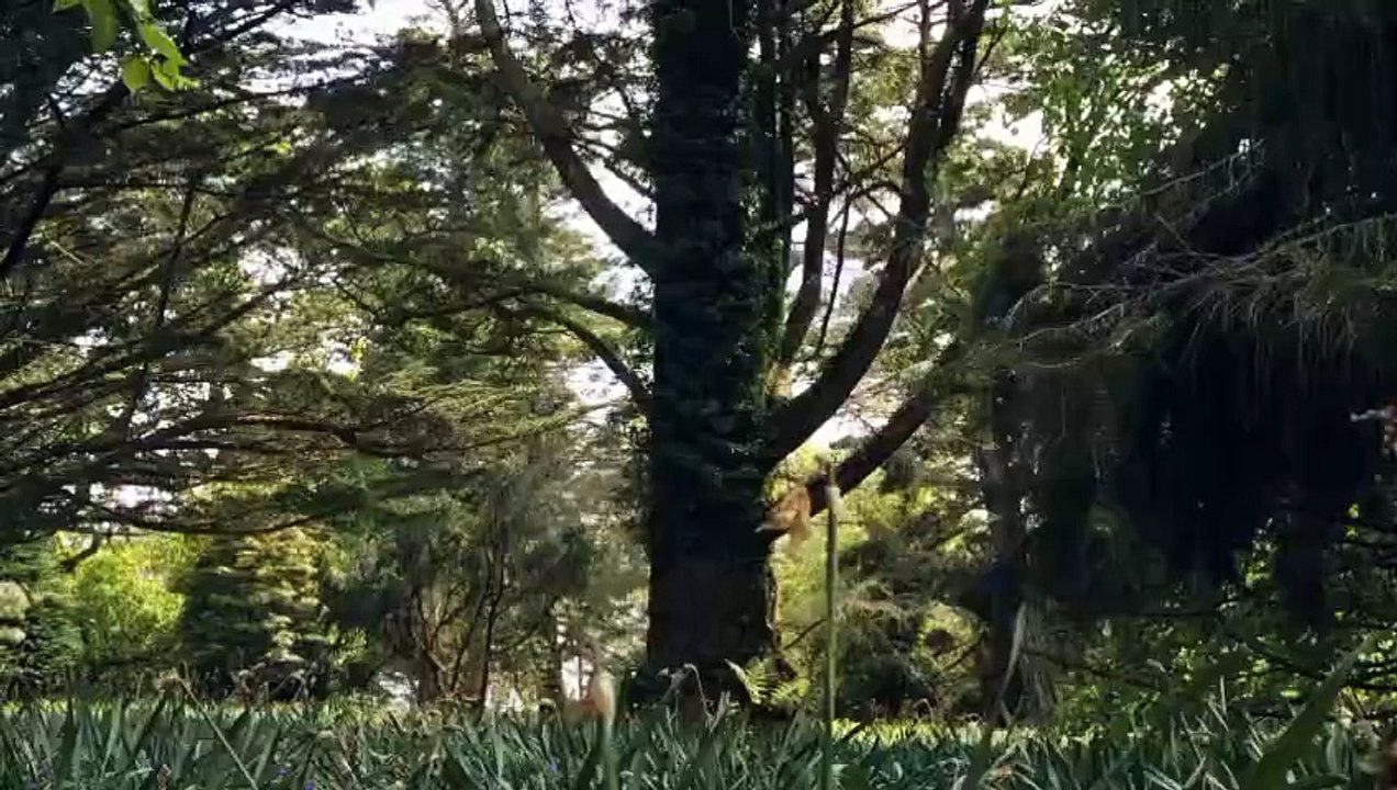Always nature