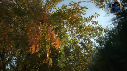 Iubire cu parfum de lavanda Sezon 2 Episodul 10 din 14 Martie 2025 Online Gratis pe Internet, Antena Play Gratis