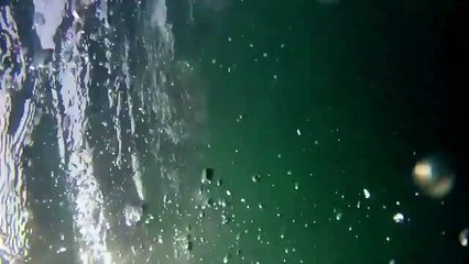 So You Think You'd Survive? | show | 2014 | Official Clip