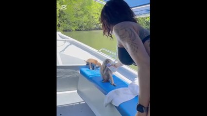 Asia Argento allatta le scimmie in Malesia (sfidando i cartelli di pericolo)