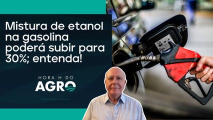 Governo avalia na próxima semana mudança nos combustíveis | HORA H DO AGRO