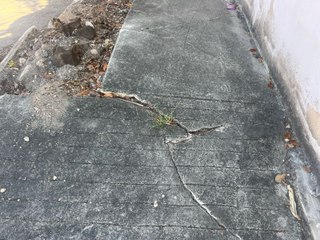 Vecinos de Caucel se quejan del mal estado de las banquetas de la zona.