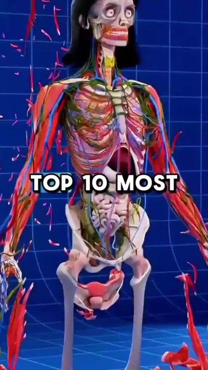 Top 10 Healthy food for human