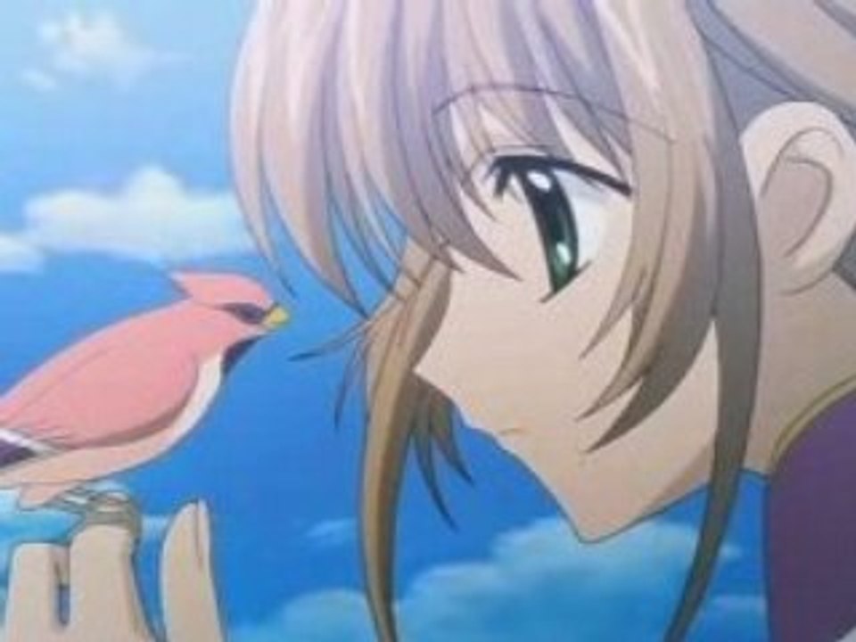 Op Tsubasa Chronicle