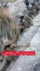 These action against Pak Army terrorists