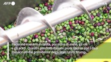 Olio, vino e formaggi, trema il cibo made in Italy