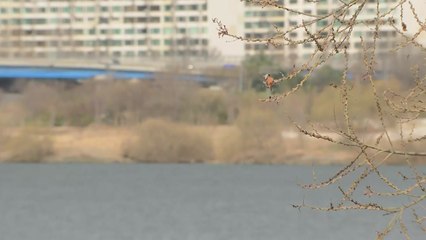 [날씨] 주말, 따뜻한 봄 날씨...내일 추위 부르는 눈비 / YTN