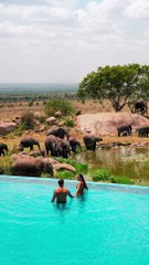 Amazing African wildlife #animallife #travel