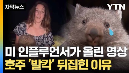[자막뉴스] 미 인플루언서의 무개념 행동... 호주 난리 난 이유 / YTN