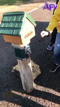 010. Goats are getting smarter 😂 #afv #goats #funnyvideos #shorts