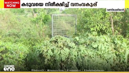 'കടുവ അവശ നിലയിൽ, കാലിലെ പരിക്ക് ഗുരുതരം, കൂട്ടിൽ കയറിയില്ലെങ്കിൽ മയക്കുവെടിവെക്കും'