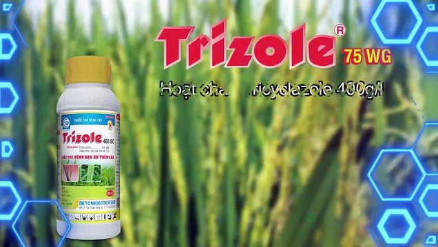 Đại lý Mai Tiên, Kiên Giang đánh giá ra sao về Trizole 400SC của SPC trong việc phòng trừ đạo ôn lúa
