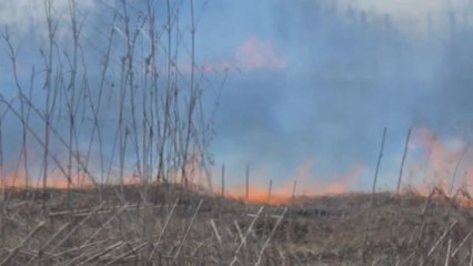 경기 이천시 대월면 밭두렁에 불...인명피해 없어 / YTN