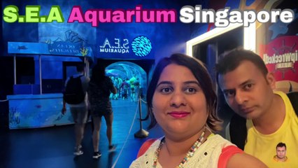 Sea Aquarium Singapore Tour | Resorts World Sentosa | Singapore | Singapore Oceanarium | Saltwater Aquarium | Aquarium | 30
