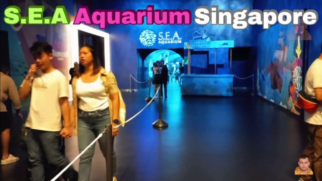 Sea Aquarium Singapore Tour | Resorts World Sentosa | Singapore | Singapore Oceanarium | Saltwater Aquarium | Aquarium | 31