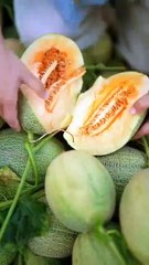 Enjoy these tasty fruits and amazing fruit