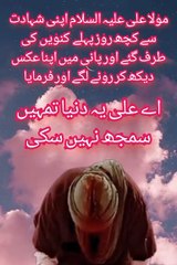 مولا علی علیہ السلام اپنے اپ سے کہنے لگے یا علی دنیا تجھے سمجھ نہیں سکی