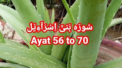Surat ul isra | Surah bani israel | quran recitation | beautiful voice | learning |
