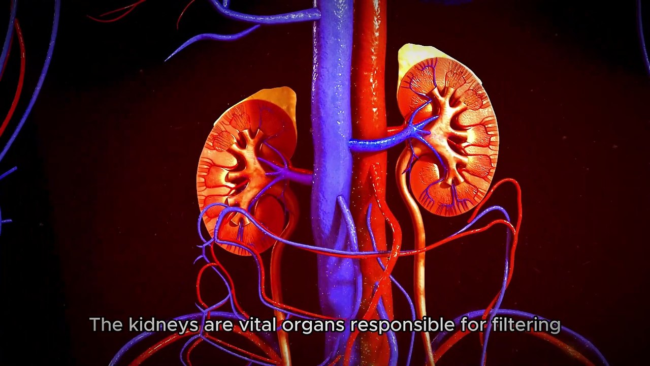 Vegetables That Secretly Harm Your Kidneys! 🚫🥦 (Avoid These for Kidney Health)