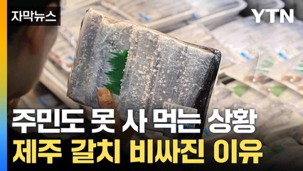[자막뉴스] 제주 특산품인데 '뚝'... '금갈치' 현상에 닫히는 지갑 / YTN