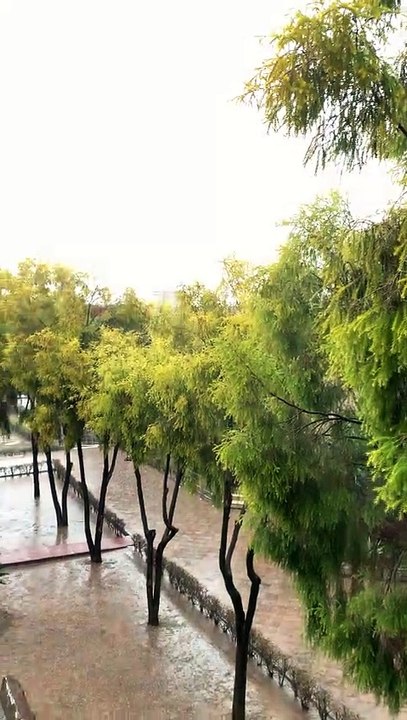 Beautiful Rain