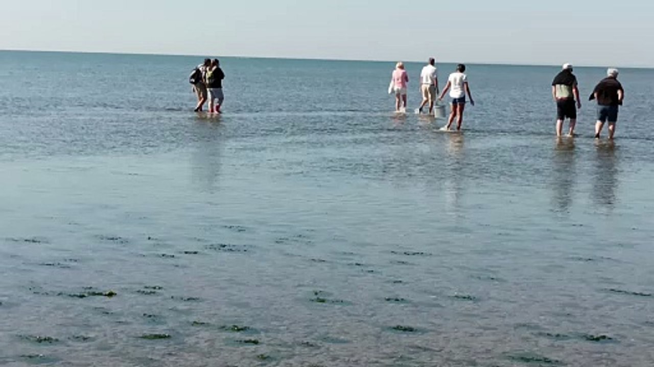 VID_20240919_113343