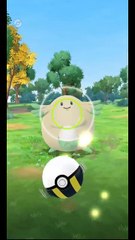 Pokémon GO-Shiny Chansey