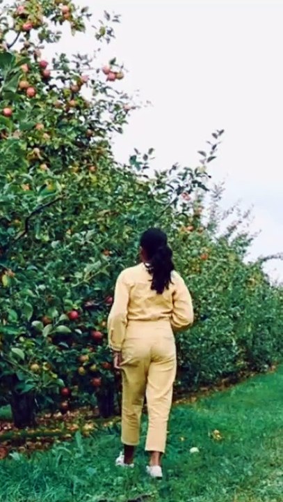FRESH Apples Picked Straight From The Tree! #apple #freshapple #nature #women