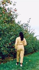 FRESH Apples Picked Straight From The Tree! #apple #freshapple #nature #women