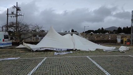 태풍급 강풍에 제주 들불 축제 취소...신호등도 파손 / YTN