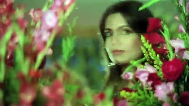 Tum Saath Ho Jab | Kaalia | Amitabh Bachchan | Parveen Babi | Asha Bhosle | Hindi Romantic Songs kaalia movie,tum saath ho jab apne dj song,parveen babi songs,kaalia amitabh bachchan song,tum saath ho jab apne song lyrics,kaalia all songs,mohd rafi songs,